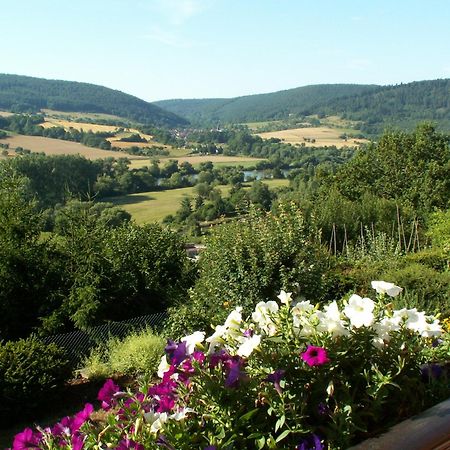 Pension Haus Erika Stadtprozelten Esterno foto