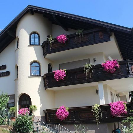 Pension Haus Erika Stadtprozelten Esterno foto