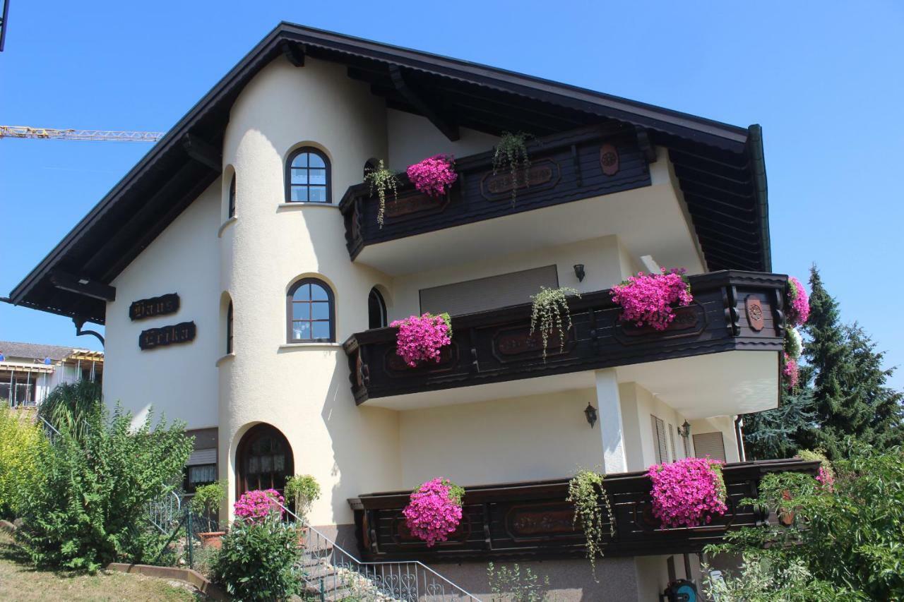 Pension Haus Erika Stadtprozelten Esterno foto